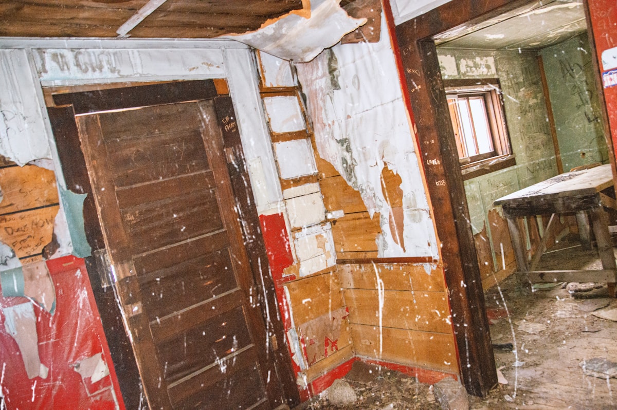 Mold Remediation service in Santa Maria, CA