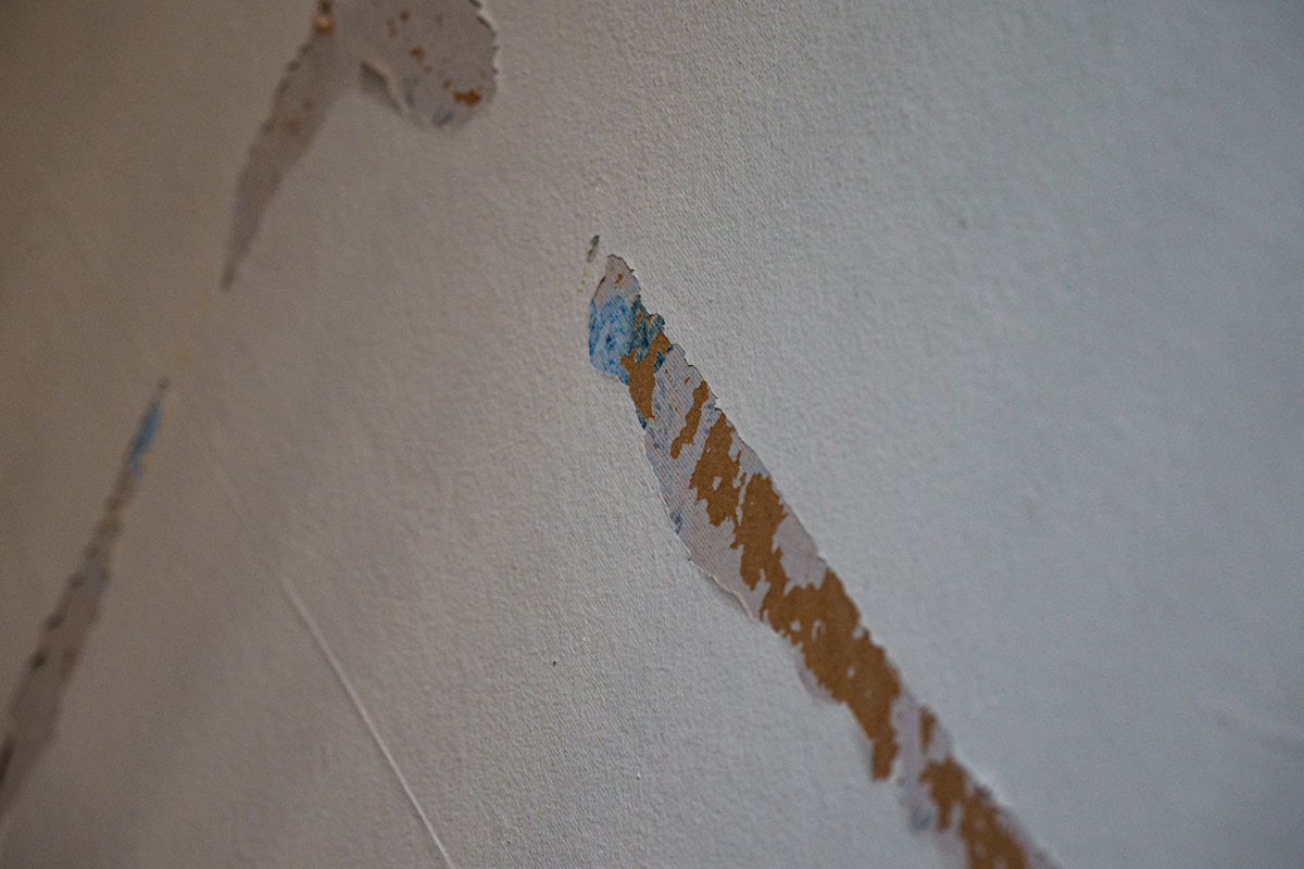 Basement Water Removal service in Santa Maria, CA